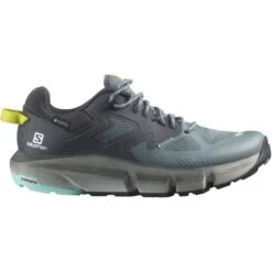 SALOMON PREDICT HIKE GORE-TEX W STOWEA/EBONY/TATUR 22