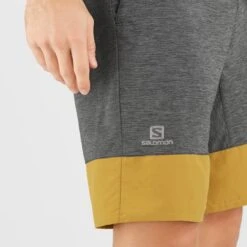 SALOMON XA TRAINING SHORT M BLACK/EBONY/CUMIN 22 11 SALOMON XA TRAINING SHORT M BLACK/EBONY/CUMIN 22 -Salomon 9 102525 xa training short m black ebony cumin lc1609900 04