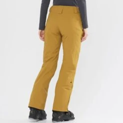 SALOMON THE BRILLIANT PANT W CUMIN 22 -Salomon 9 102561 the brilliant pant w cumin lc1559200 03