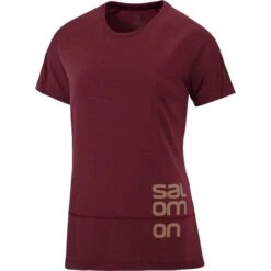 SALOMON CROSS RUN GRAPHIC TEE W CABERNE 22