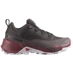 SALOMON CROSS HIKE GORE-TEX 2 W SHALE/WILD GING 23
