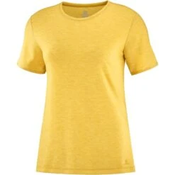 SALOMON ESENTIAL SS TEE W ARROW WOOD 21