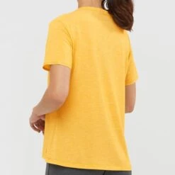 SALOMON ESENTIAL SS TEE W ARROW WOOD 21 -Salomon 9 98356 esential ss tee w arrow wood lc1472200 03